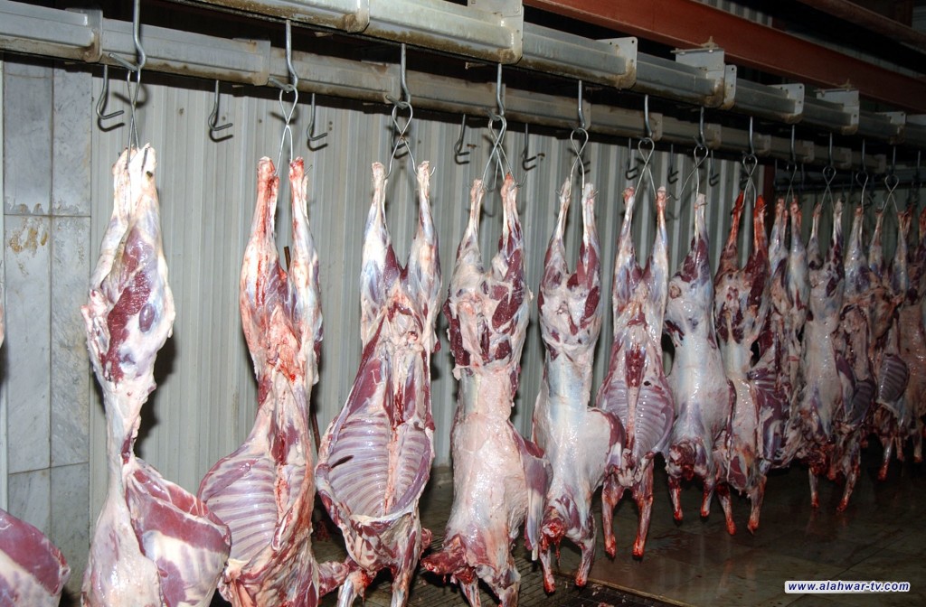 مدير الشرطة البيئية في ذي قار : الزام بلديات المحافظة بتوفير مجازر نموذجية